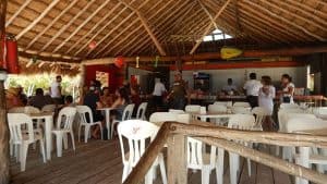 anemona de mar beach club